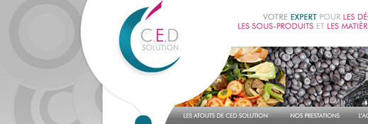 CED Solution